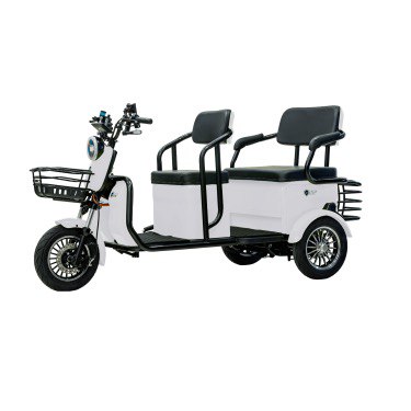Электрический трицикл SHTENLI Model 37 SLA 20Ач48В