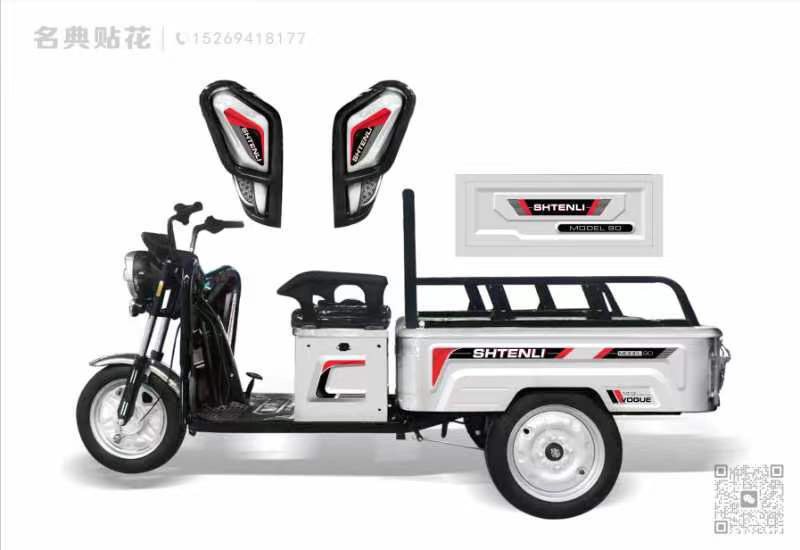 Электрический трицикл SHTENLI Model 90 SLA 20Ач48В