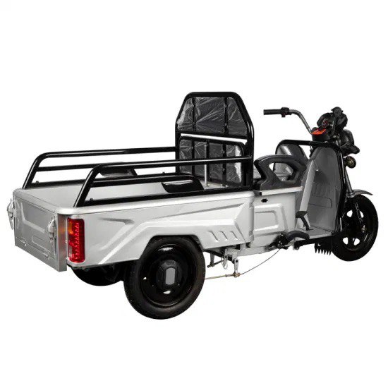 Электрический трицикл SHTENLI Model 90 SLA 20Ач48В