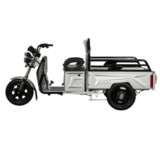 Электрический трицикл SHTENLI Model 90 SLA 20Ач48В